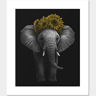 Baby Elephant Posters and Art